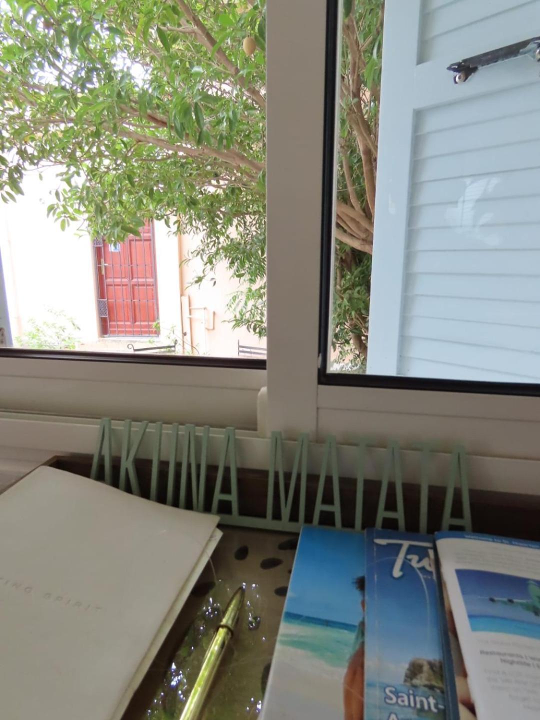 Akunamatata Guest House Grand Case Exterior foto